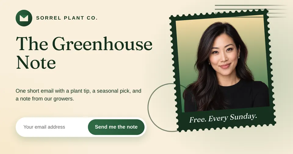 The Newsletter signup ad design made for a second business, with its own details and brand.