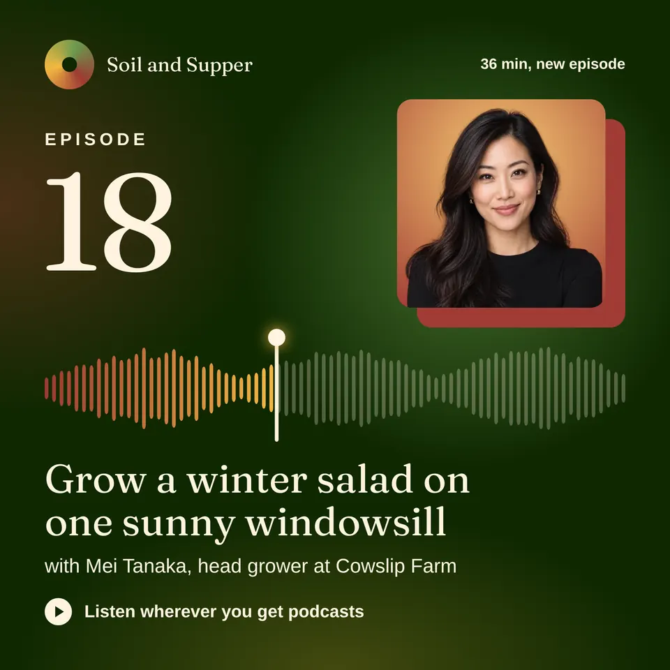 The Podcast episode card design made for a second business, with its own details and brand.