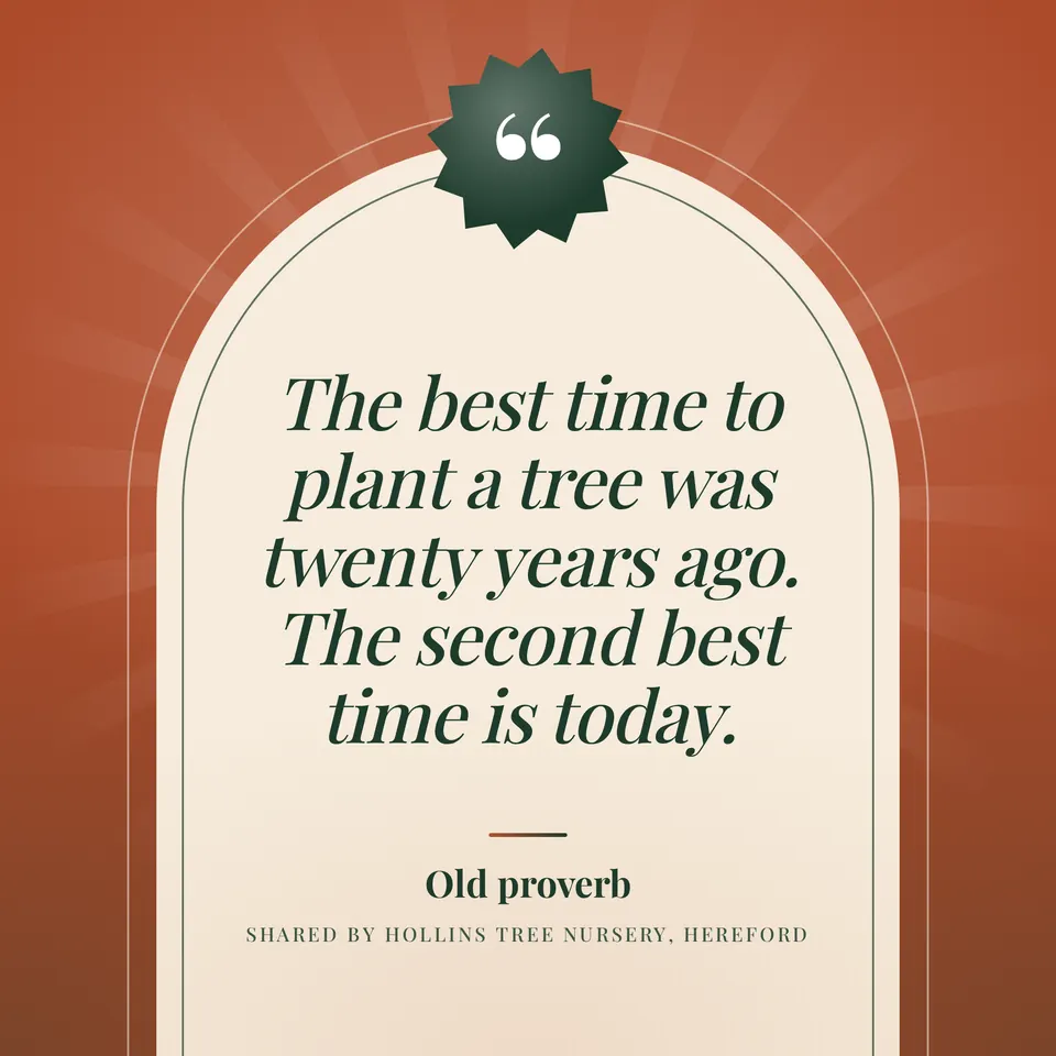 A proverb from Hollins Tree Nursery in green italic type inside a cream arch, with a green star emblem on a terracotta sunburst.