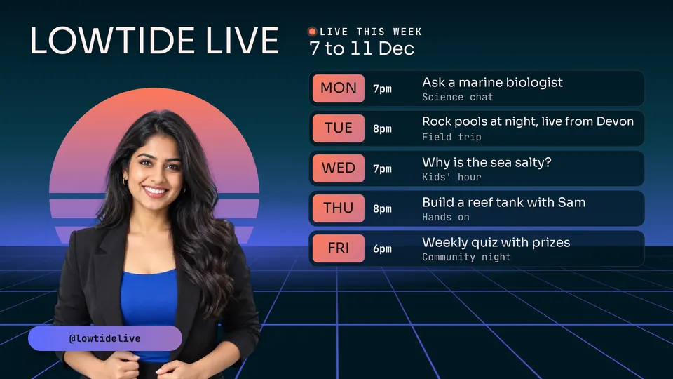 The Stream schedule design made for a second business, with its own details and brand.